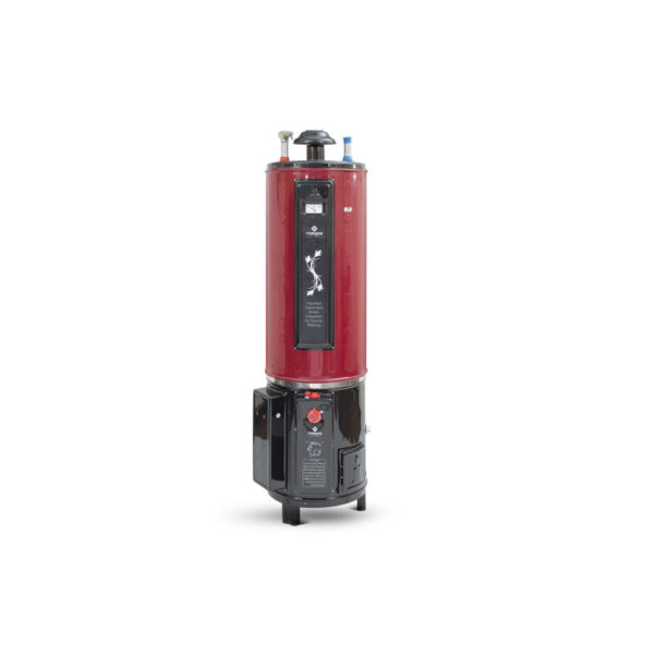 Nasgas Electric and Gas DEG-55 Super Deluxe